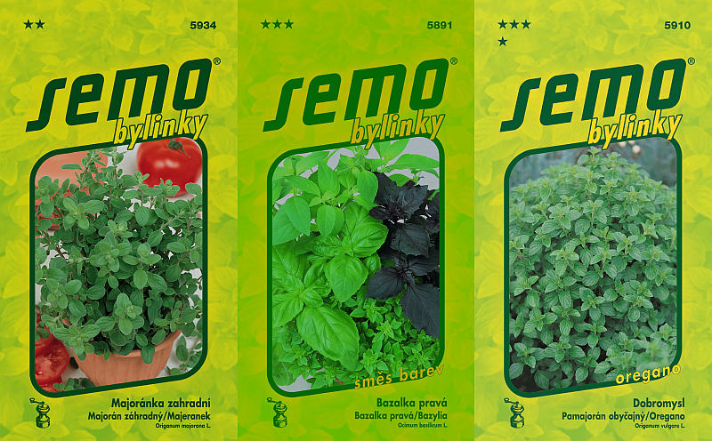 Bylinky - výběr pro pěstování (SEMO)