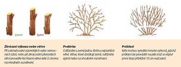 Řez dřevin (FISKARS)
