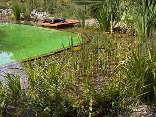 Koupací jezírko (RYBNIKAR)