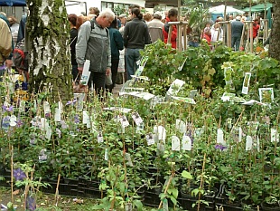 Podzimní Flora Olomouc 2008