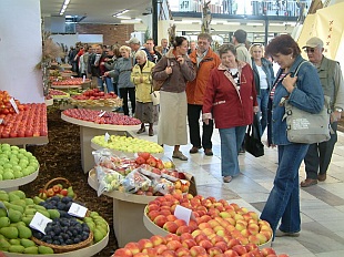 Podzimní Flora Olomouc 2008