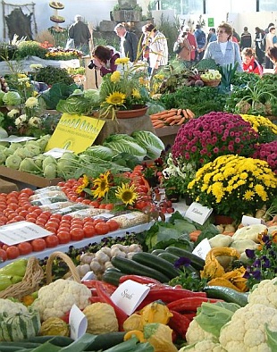 Podzimní Flora Olomouc 2008