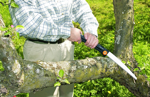 Řez ovocných stromů: zahradni pilka (FISKARS)