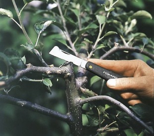 Řez ovocných stromů: zahradnický nůž (FISKARS)