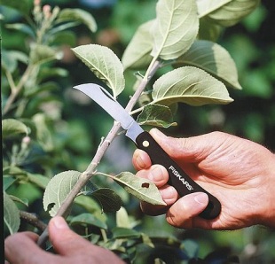 Řez ovocných stromů: zahradnický nůž (FISKARS)