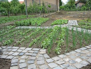 Záhradka pre oddych (KOHAPLANT)