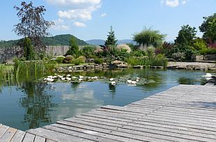 Dřevěná terasa: smrkové palubky - foto 8 (DŘEVO A STAVBY) Dřevěná terasa: smrkové palubky - foto 8 (DŘEVO A STAVBY)