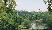 Painshill
