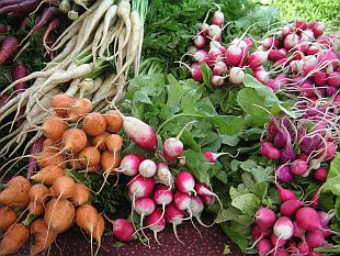 Březen: záhon pro zeleninu musíme zrýt dostatečně hluboko (PROVOBIS)