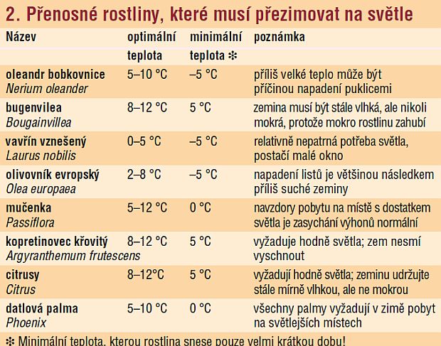 Přenosné rostliny, které musí přezimovat na světle