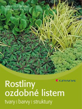 Rostliny ozdobné listem Rostliny ozdobné listem