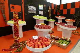 Podzimní Flora Olomouc 2012