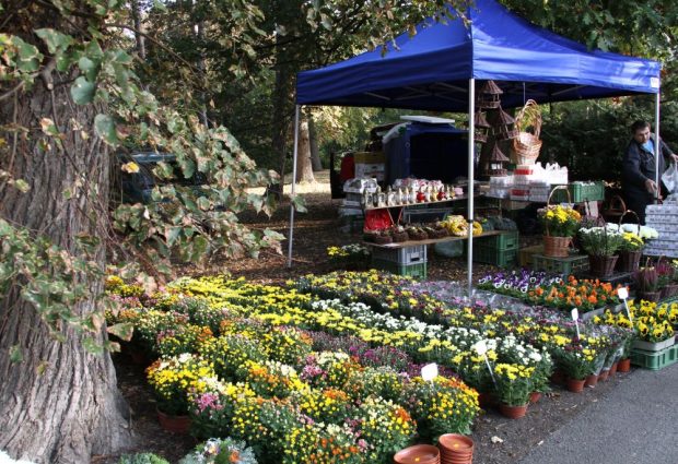 Podzimní Flora Olomouc 2012