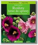 Rośliny łatwe do uprawy Rośliny łatwe do uprawy
