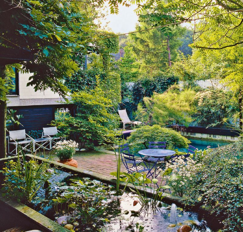 Dřeviny u vody: Zeleň stromů a solitérních keřů zrcadlící se ve vodě (KNIŽNÍKLUB)